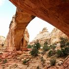 ~ Capitol Reef ~