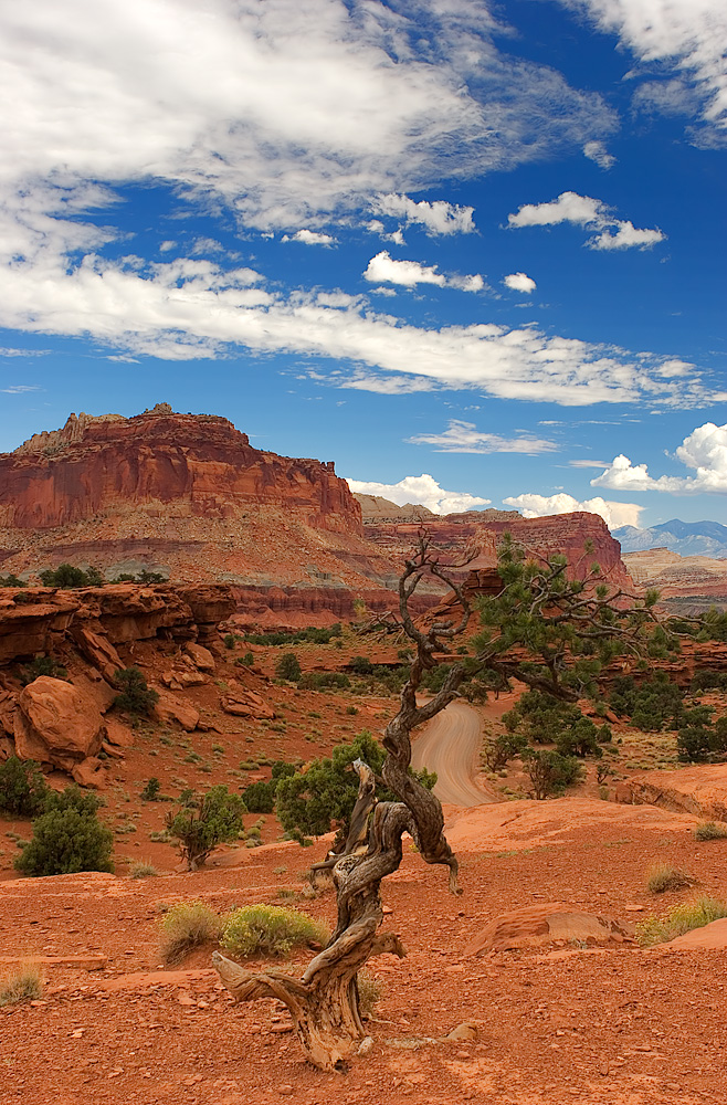 Capitol Reef