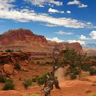 Capitol Reef