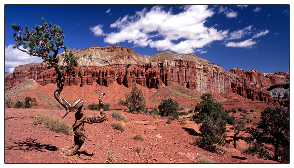 Capitol Reef