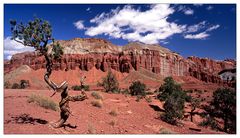 Capitol Reef