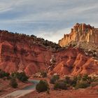 Capitol Reef