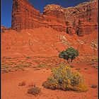 Capitol Reef - Chimney Rock