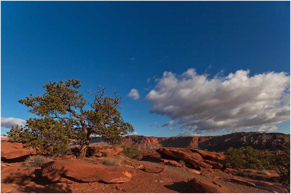 Capitol Reef - Goosenecks Point