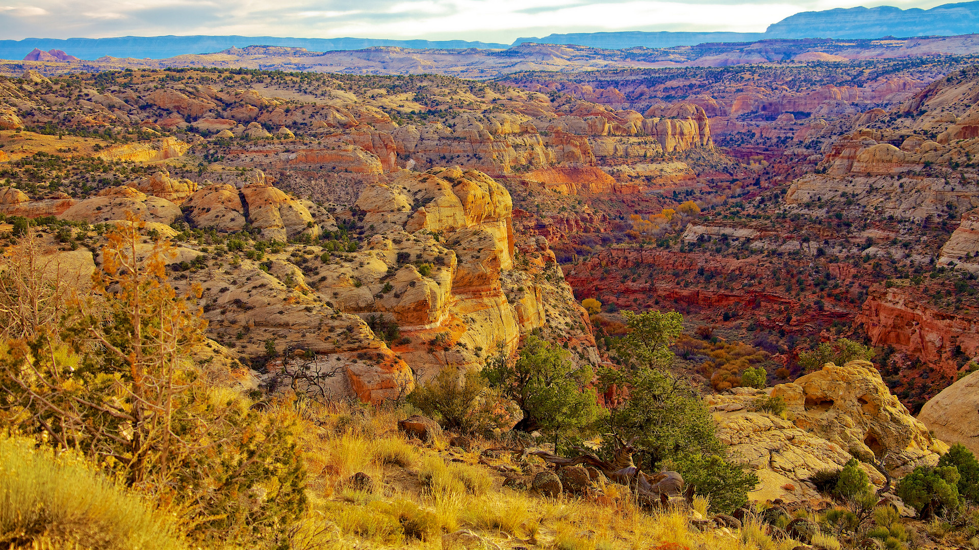 Capitol Reef landscape