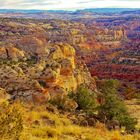 Capitol Reef landscape