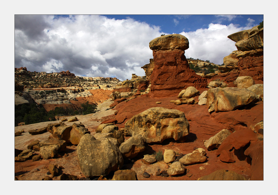 Capitol Reef National Park