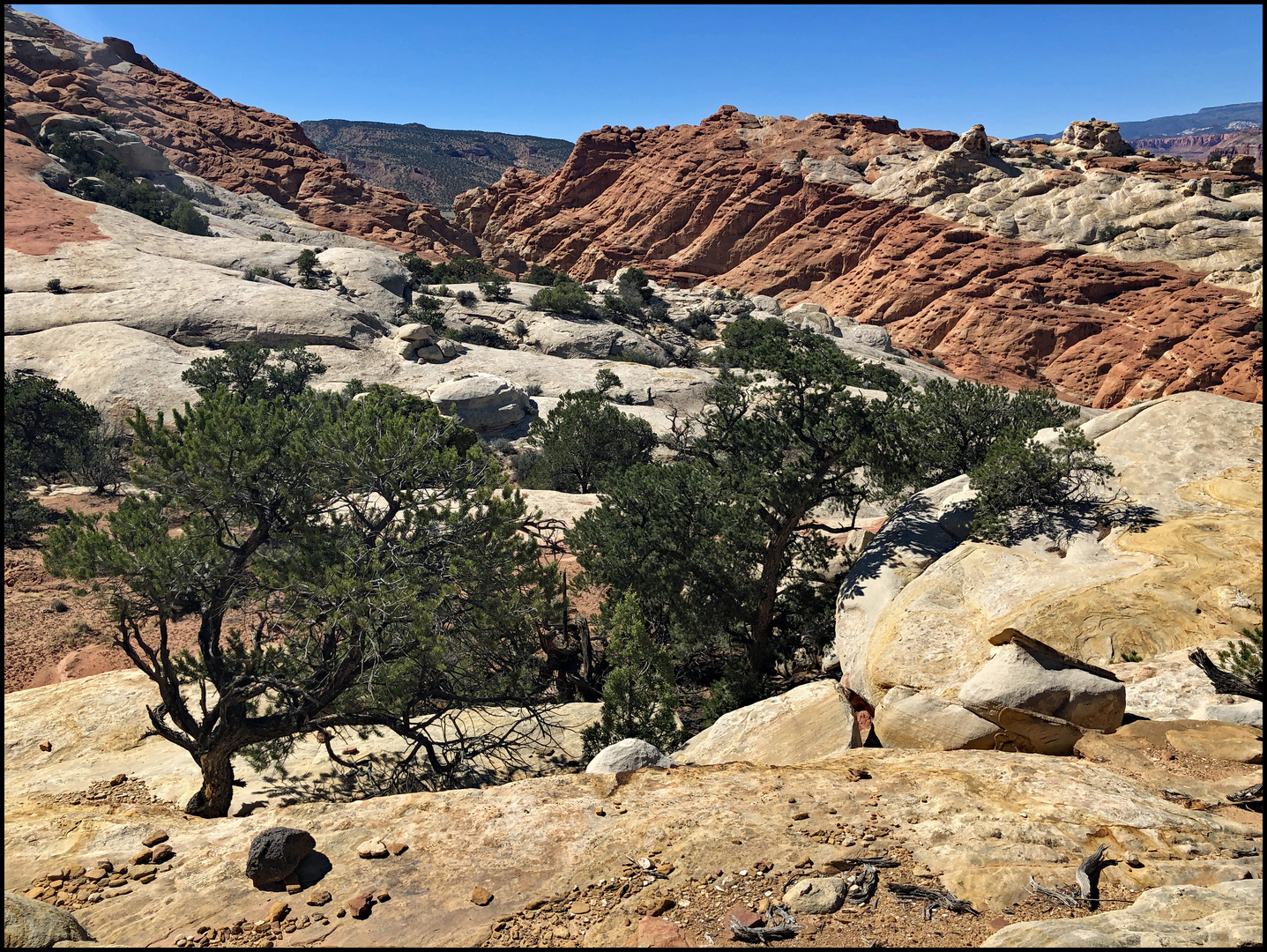 Capitol Reef National Park