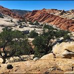 Capitol Reef National Park