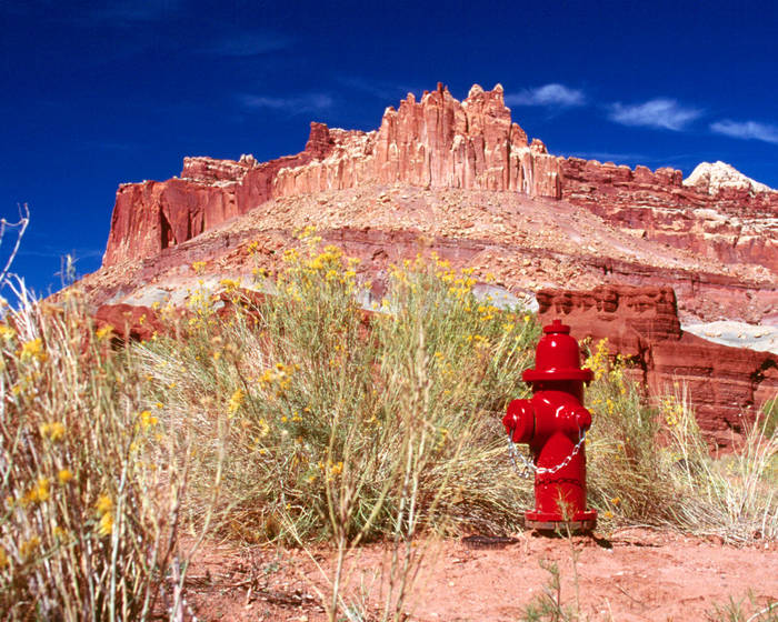 Capitol Reef National Park