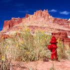 Capitol Reef National Park