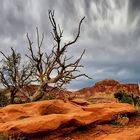 Capitol Reef N.P