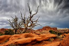 Capitol Reef N.P