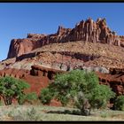 Capitol Reef NP 1