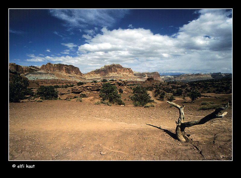 capitol reef N.P.