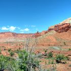 Capitol Reef NP