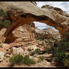 Capitol Reef NP 4 