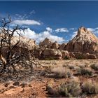 Capitol Reef N.P.