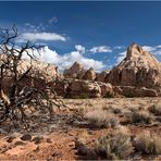 Capitol Reef N.P.