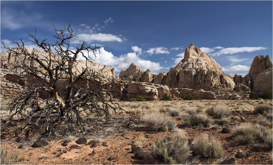 Capitol Reef N.P.