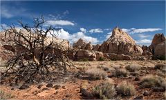 Capitol Reef N.P.