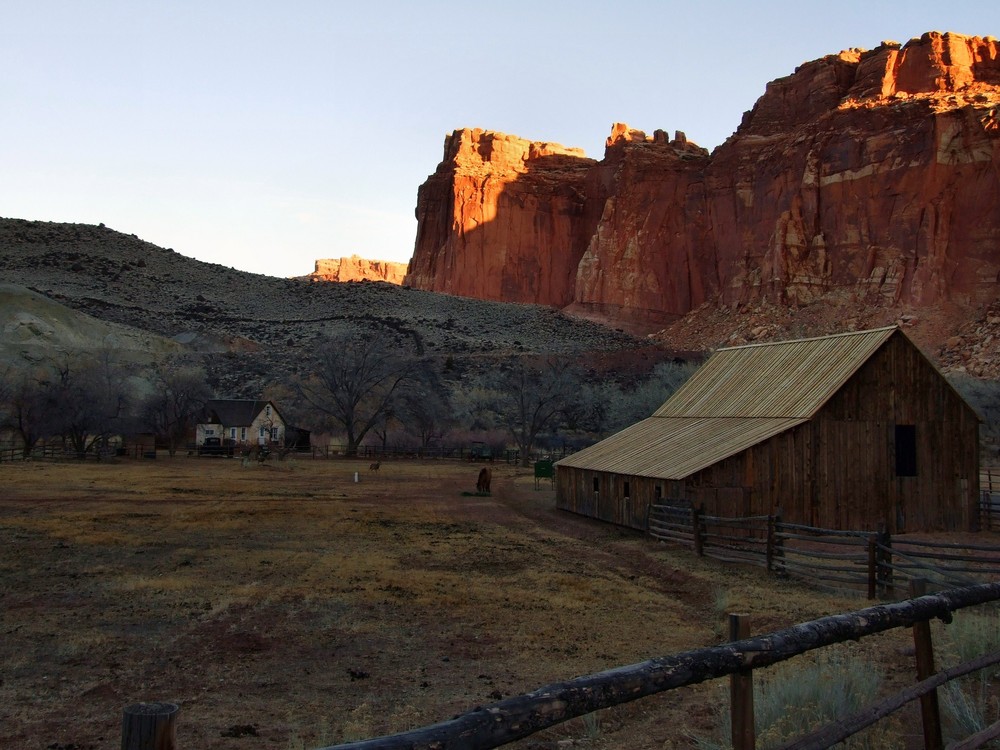 Capitol Reef N.P., Fruita area at dawn