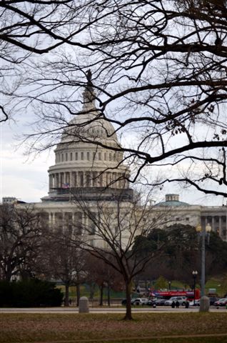 Capitol Washington DC USA