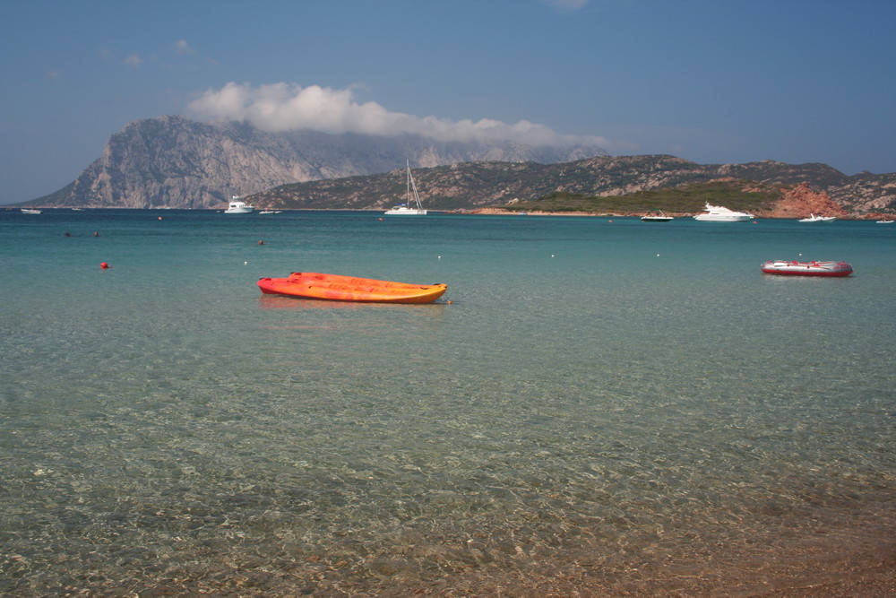 Capo Coda Cavallo