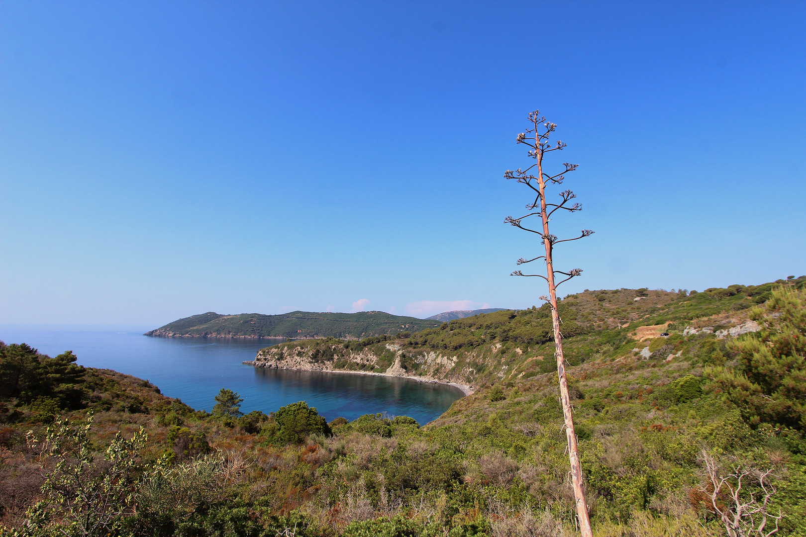 Capo di Stella