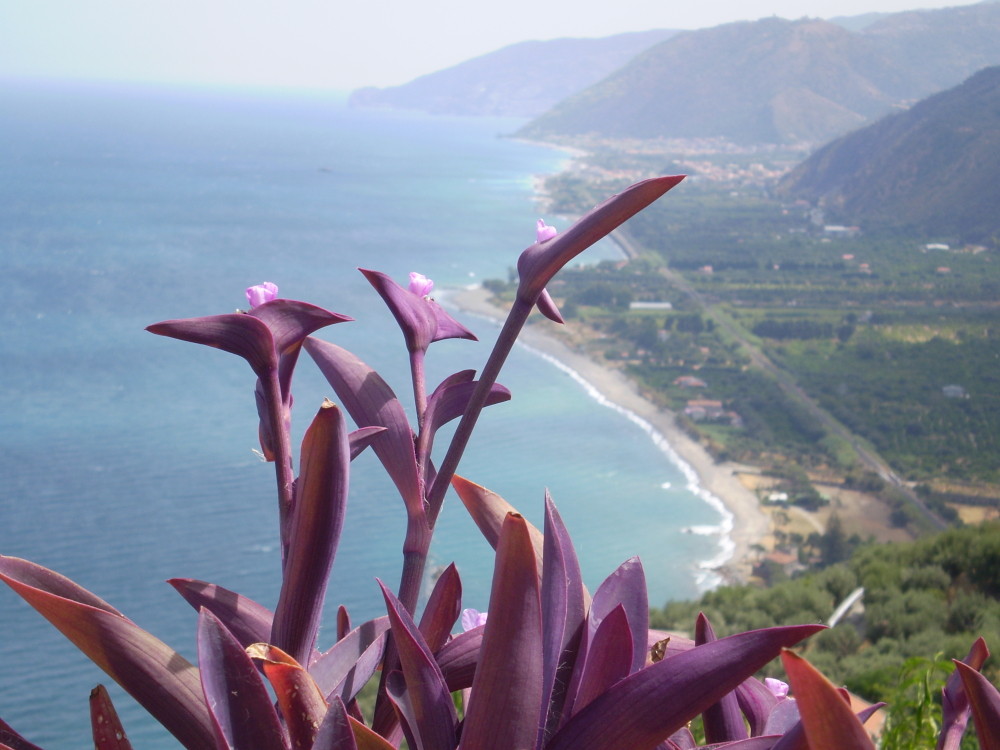 capo d'orlando