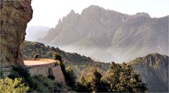 CAPO D´ORTO IM NEBEL