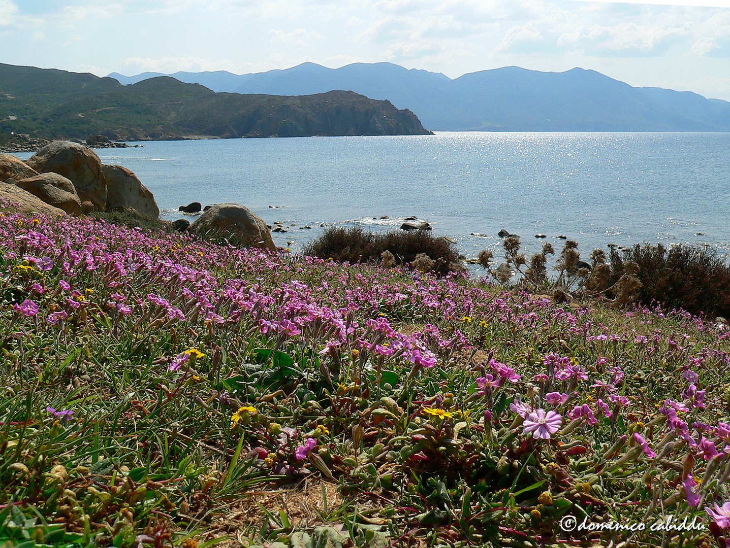 Capo Pecora 2