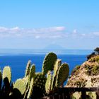 capo vaticano