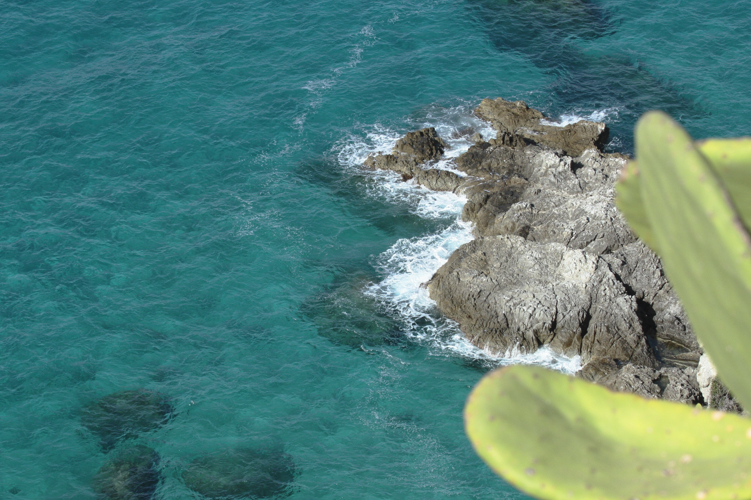 Capo Vaticano