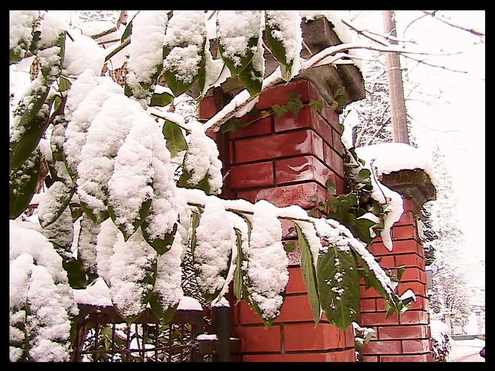 capodanno in montagna