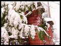 capodanno in montagna di fabiana bonfanti 