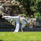 Capoeira beim Training