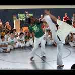 Capoeira Berimbau III
