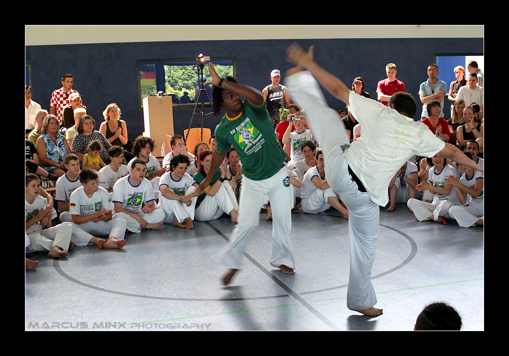 Capoeira Berimbau III