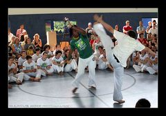 Capoeira Berimbau III