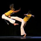 Capoeira Brasil 1