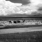 Cappadocia. Myth versus riality.