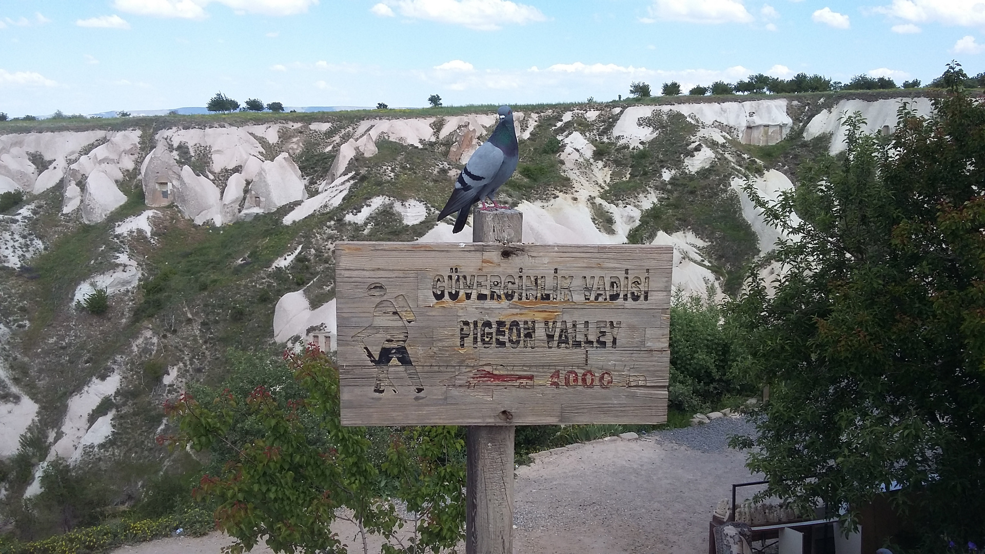 Cappadocia - Pigeon Valley