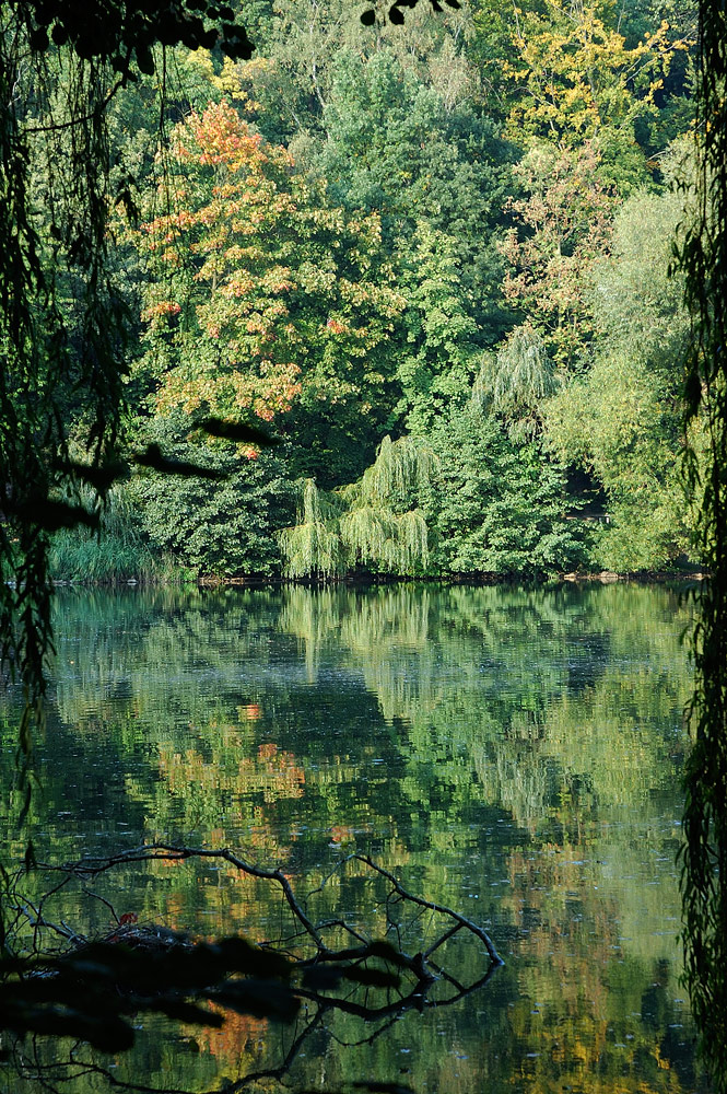 Cappenberger See