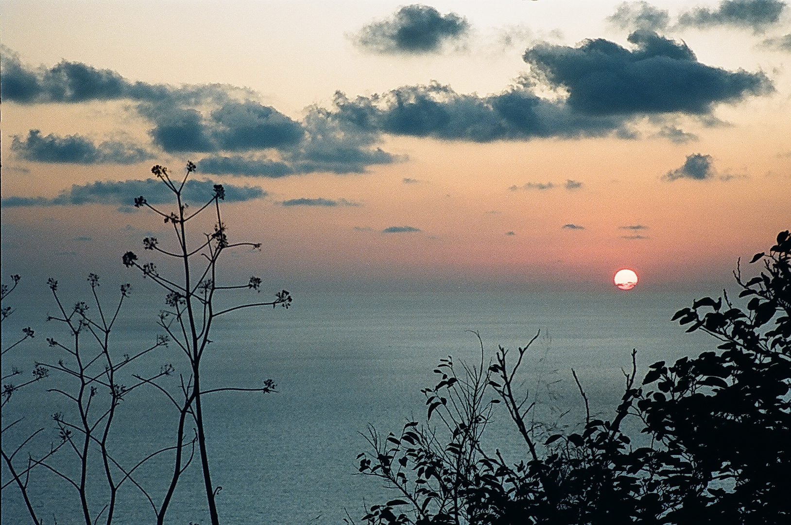 Capri