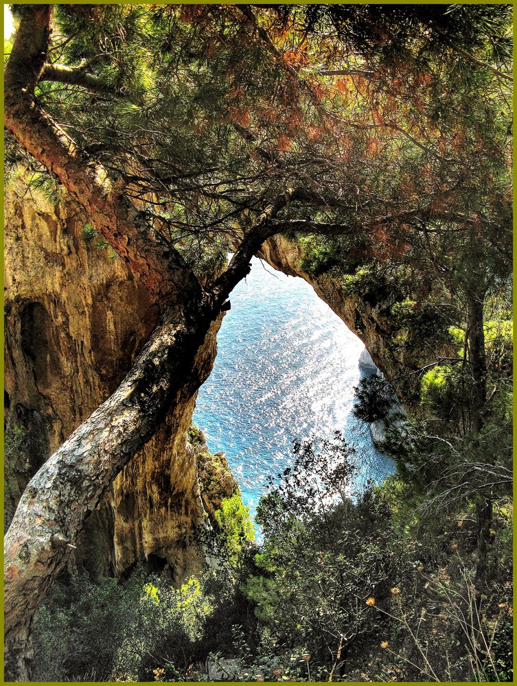 Capri - Arco Naturale