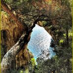 Capri - Arco Naturale