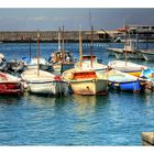 Capri boats