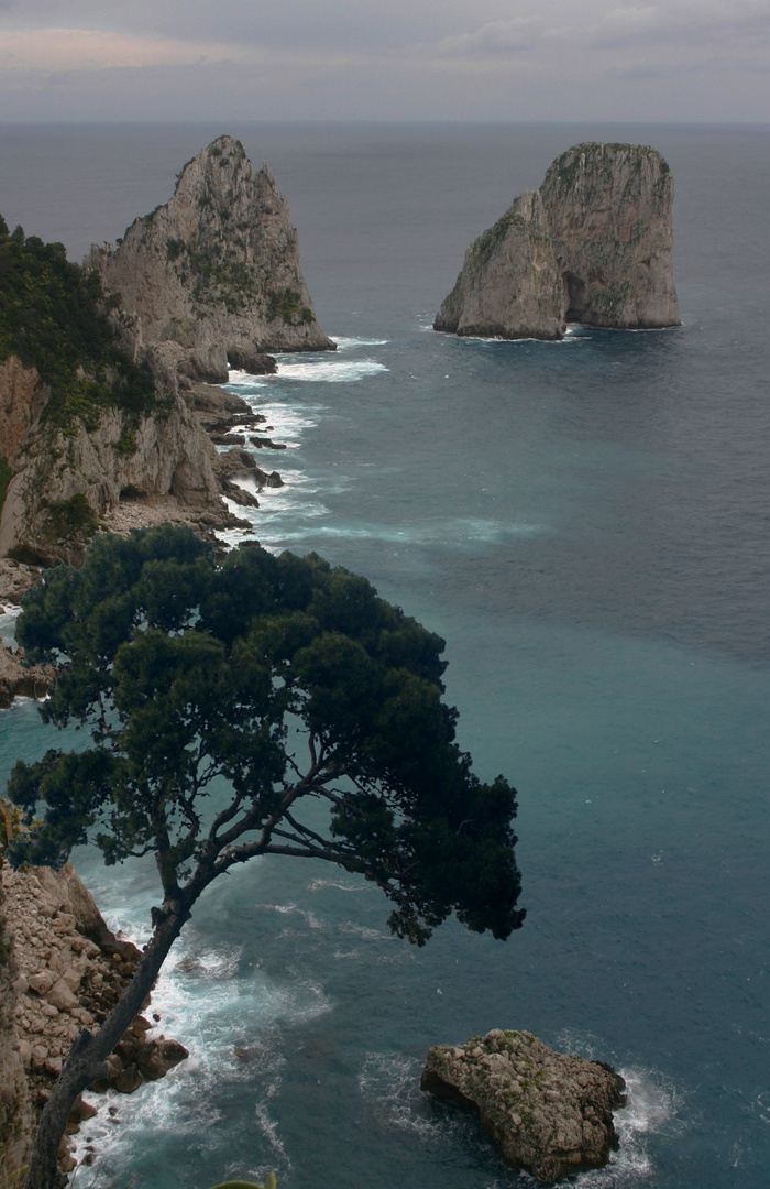 CAPRI C'EST FINI