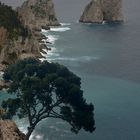 CAPRI C'EST FINI